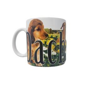 Americaware Dachshund Color Relief Coffee Mug Extra Large 18 Ounce